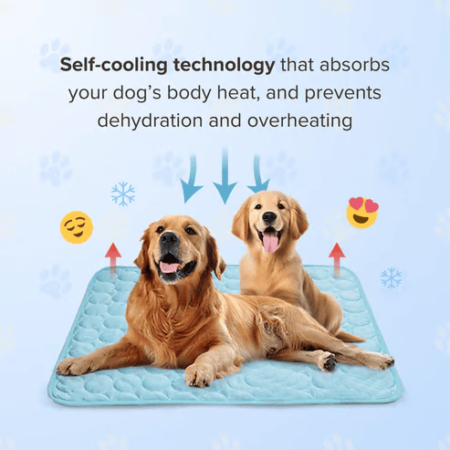 Dog Cooling Mat (4x more effective)
